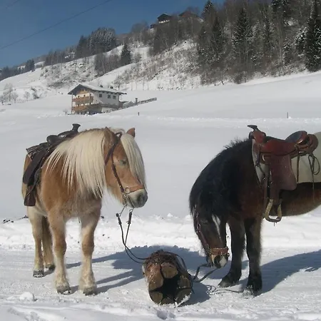 公寓 悦拉度假别墅 塔克森巴赫