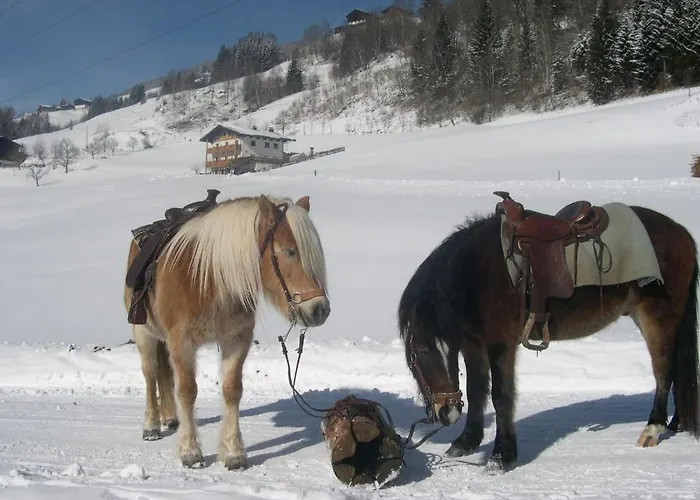 Appartement Ferienhaus Yera Taxenbach